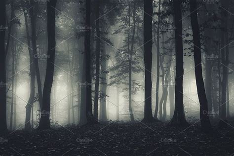 Dark haunted forest at night containing dark, haunted, and mysterious ...