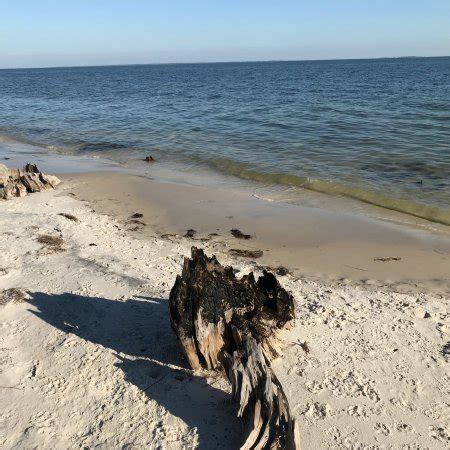 Carrabelle Beach - All You Need to Know Before You Go - UPDATED 2018 ...