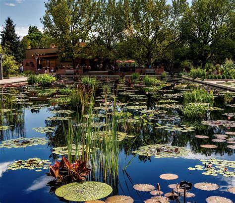 Things to Do in Denver - The Denver Botanic Gardens