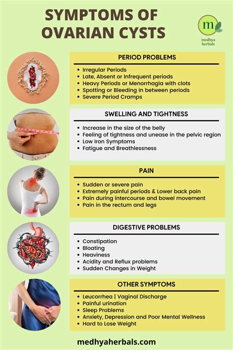 Ovarian cysts causes symptoms diagnoses and ayurvedic treatment – Artofit