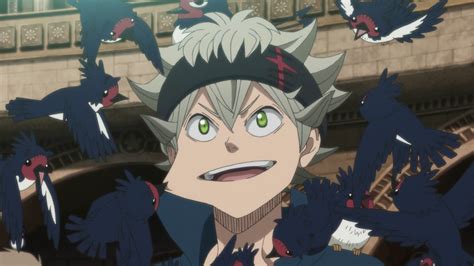 Anti-bird | Black Clover Wiki | FANDOM powered by Wikia