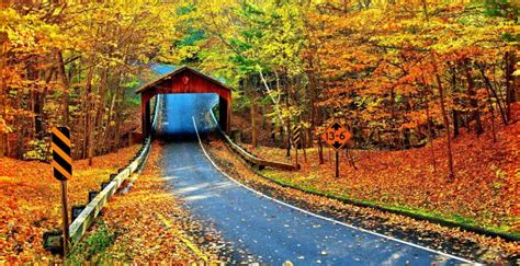 Wallpaper highway, cambron covered bridge, autumn, nature desktop ...