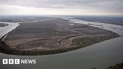 Wallasea Island: The nature reserve built with CrossRail's leftovers ...