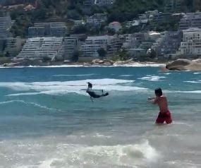 WATCH: Clifton seal 'attack' - Aggressive seals encountered elsewhere ...