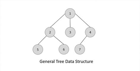 Tree Data Structure