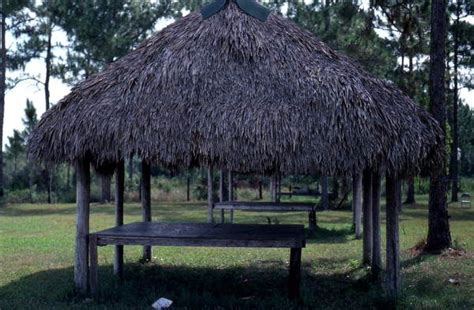 Seminole Indian chickee hut at the Big Cypress Indian Reservation ...