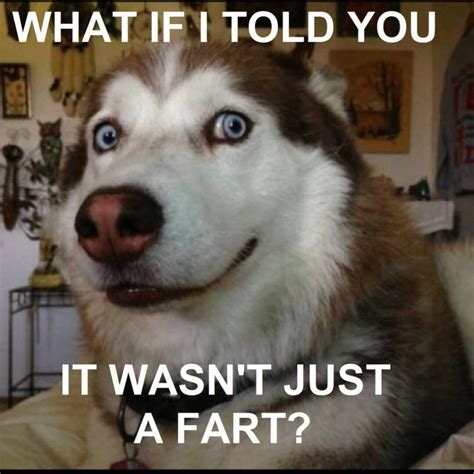 85 Funnniest Fart Meme - Meme Central