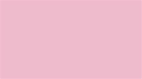 Download Plain color background featuring soft shades of pink ...