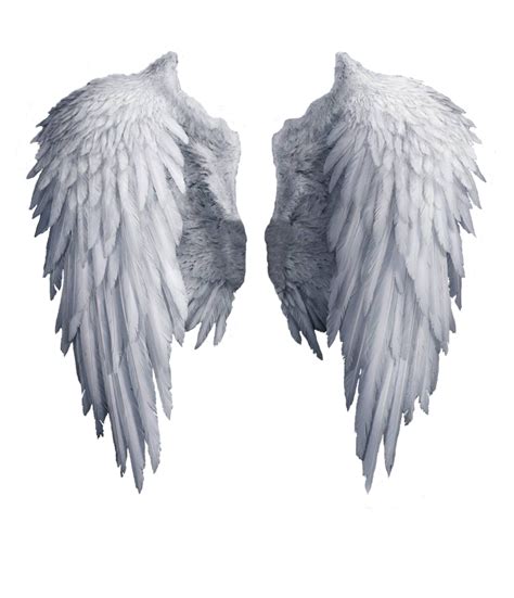 PNG Wings Angel - White Angel Wings – Free Download