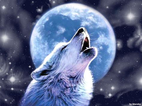 Wolf Howling Images Free