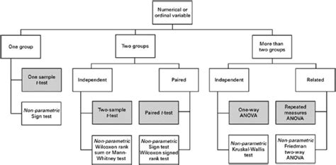 Statistical Test Flow Chart: A Visual Reference of Charts | Chart Master