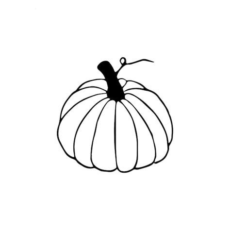 Premium Vector | Hand drawn doodle pumpkin clipart vector black and ...