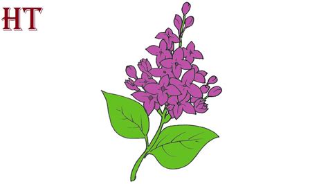 How to draw a Lilac flower - YouTube