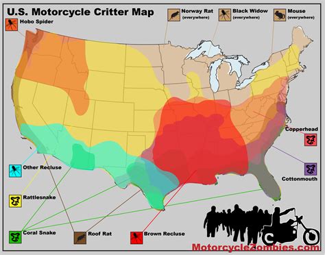 Where Do Tarantulas Live Map