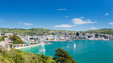 Wellington City and Bays Morning Tour | GreatSights New Zealand