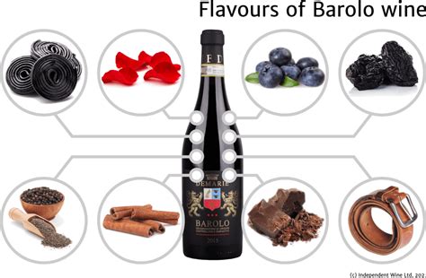 Barolo Wine: rules, best vintages, how it's made, how much to pay