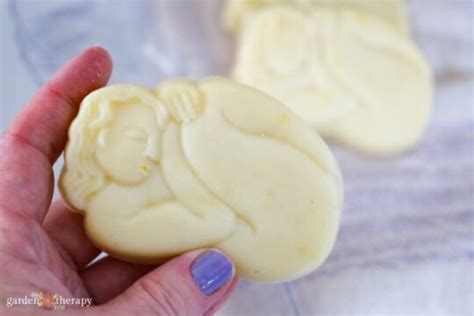 Budget-Friendly Soap Making With Lard Soap - Garden Therapy