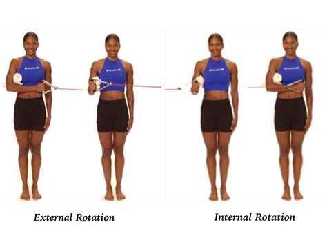 Internal And External Rotation