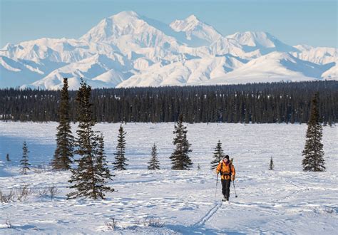 Denali National Park Area in Alaska's Interior Region | Travel Alaska