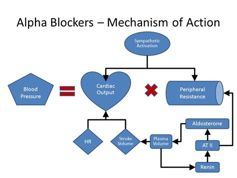 Examples Of Alpha Blockers