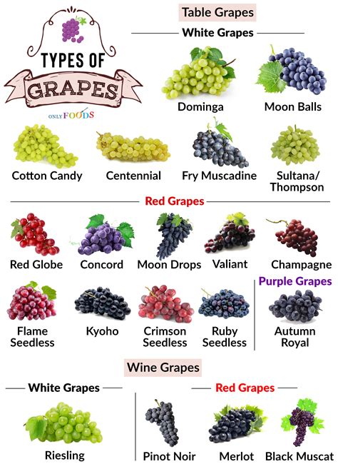 Types of Grapes : r/coolguides