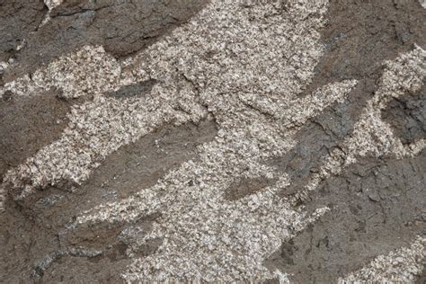 granitic rock and inclusions, Oregon. – Geology Pics