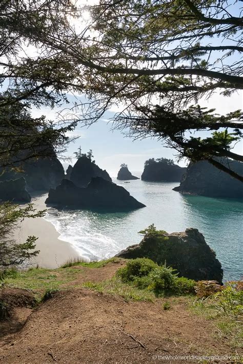 How to get to Secret Beach Oregon (2023) | The Whole World Is A Playground