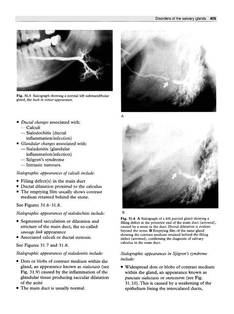 Essentials.of.Dental.Radiography.and.Radiology by Alejandro Padilla - Issuu