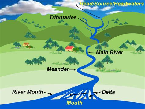 Parts Of River System Diagram