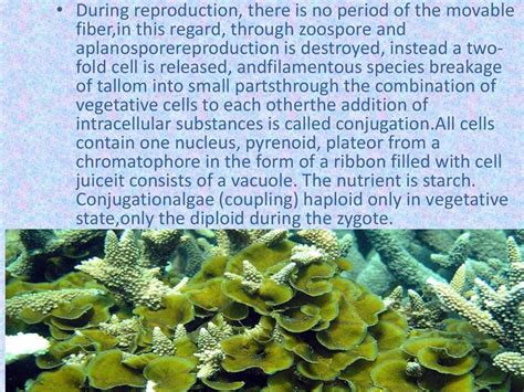 Chlorophyta color - online presentation