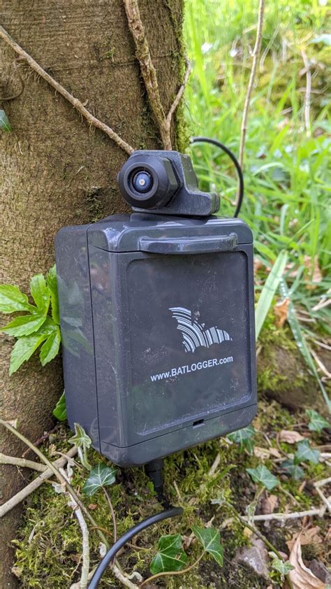 Elekon Batlogger A Bat Full Spectrum Passive Bat Detector - South West ...