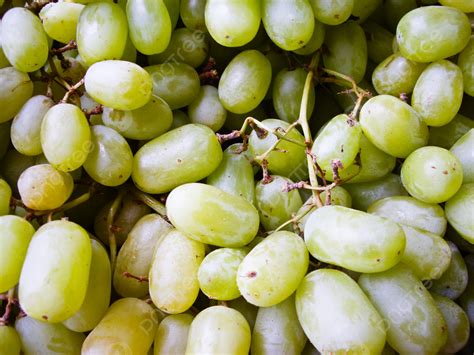 Green Grapes On The Vine Agriculture Fresh Crop Photo Background And ...