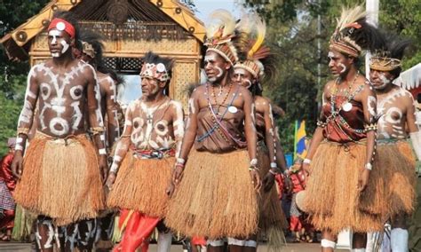 Pakaian Adat Ewer Papua Barat - GALERI NUSANTARA