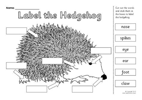 Label the Hedgehog Worksheet (SB11353) - SparkleBox | Hedgehog ...