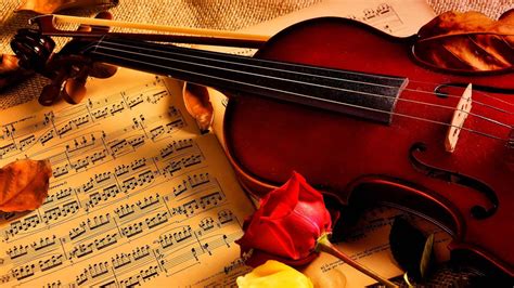 violin, Notes, Rose, Beauty, Music Wallpapers HD / Desktop and Mobile ...