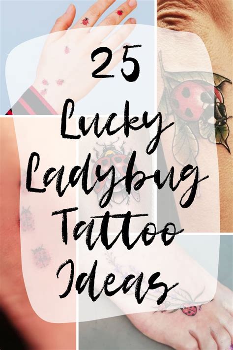 25 Lucky Ladybug Tattoo Ideas - TattooGlee | Lady bug tattoo, Bug ...