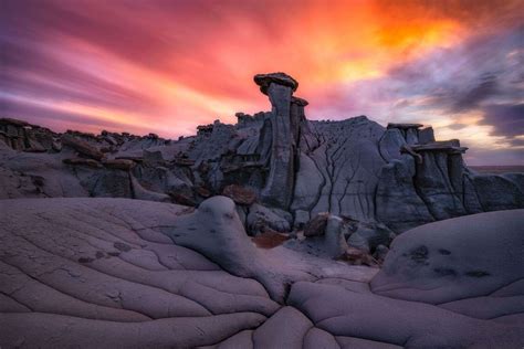 A Journey Through Bisti Wilderness - The Tri-City Record