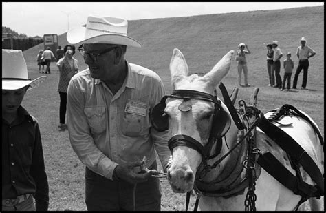 [Mule Skinner With Mule] - The Portal to Texas History