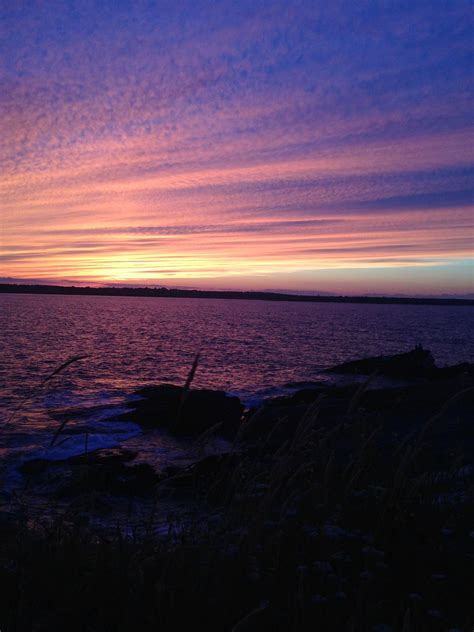 BeaverTail Beauty | Beach, Beauty