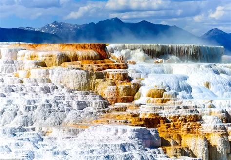 Mammoth Hot Springs Ultimate Guide - Yellowstone National Park