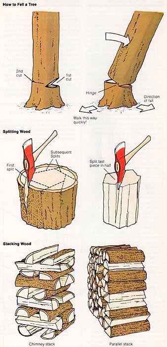 tree felling techniques manual - Immense History Art Gallery