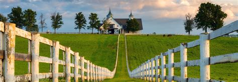 THE TOP 15 Things To Do in Lexington (UPDATED 2025) | Attractions ...