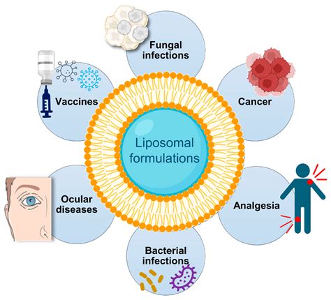 Advancing Medicine with Lipid-Based Nanosystems—The Successful Case of ...