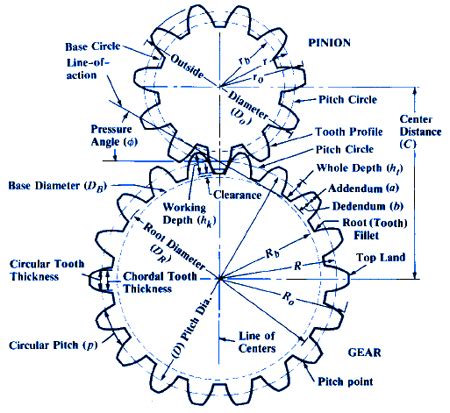 Base Diameter of Gear - VirginiaewaWilliams