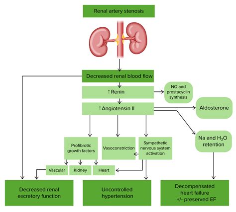 Renal Artery Stenosis