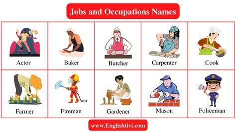 Jobs and Occupations Names in English with Pictures - Englishtivi