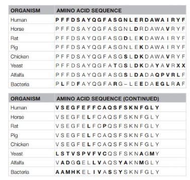 When the portion of the aspartate transaminase enzyme from different ...