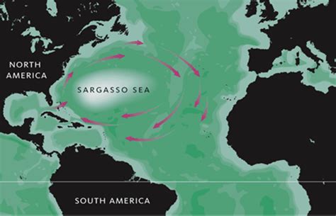 Sargasso Sea Map – Locations and Maps of Atlantic Ocean