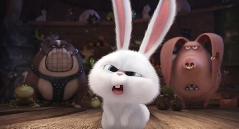 The Secret Life of Pets 6 | Pet bunny, Cute bunny cartoon, Rabbit wallpaper