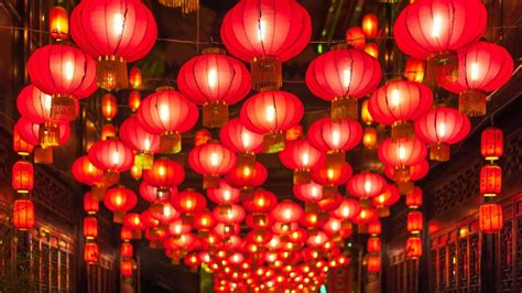 Chinese new year lanterns - backiee